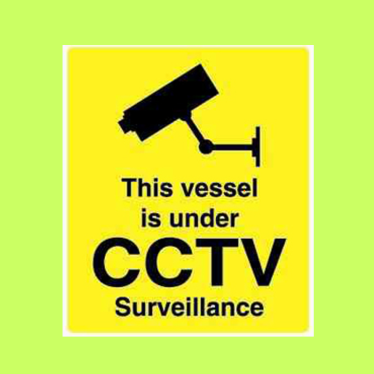 mom ceathing with her son reil cctv security - Ilustrasi 3